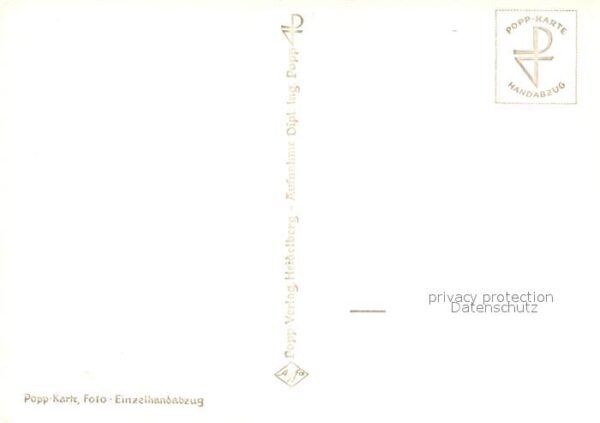 Foto Popp Nr. 117 Verwurzelt – Bild 2