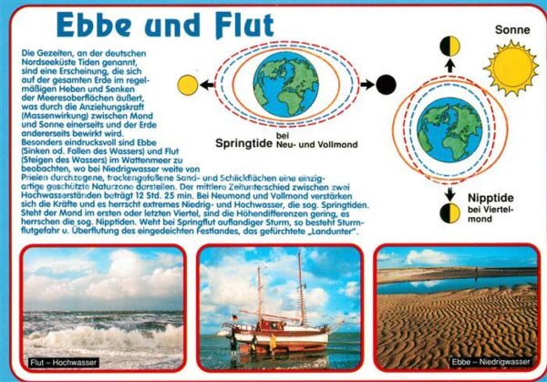 Wissenschaft Science Ebbe und Flut Springtide Nipptide