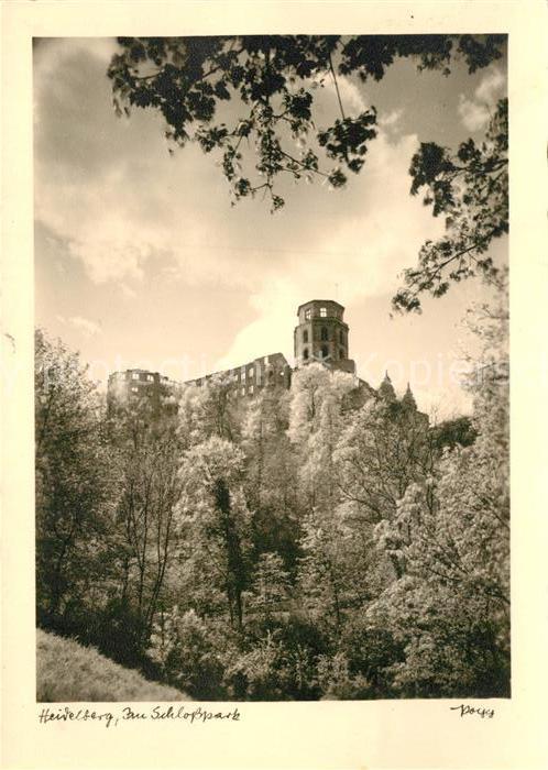 Foto Popp Nr. Heidelberg Schlosspark