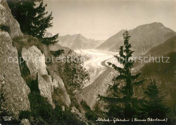 Foto Popp Nr. 2338 Aletschgletscher Berner Oberland