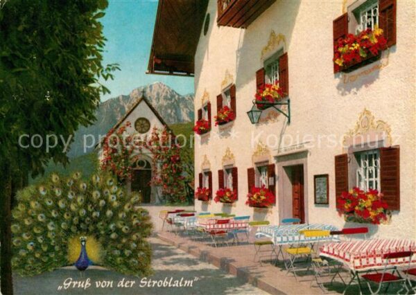 Bad Reichenhall Stroblalm Högl Hochstaufen