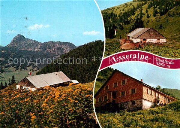 Tannheim Tirol Usseralpe