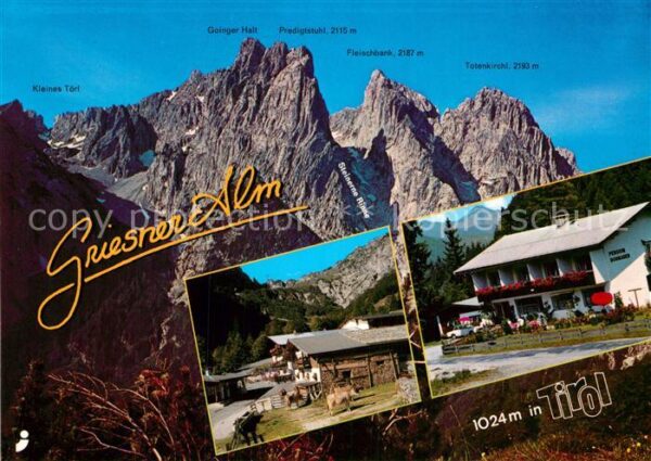 Wilder Kaiser Griesner Alm