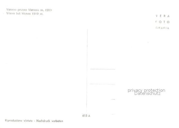 Voeran Verano – Bild 2