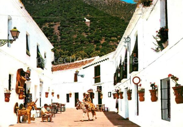 Mijas Esel