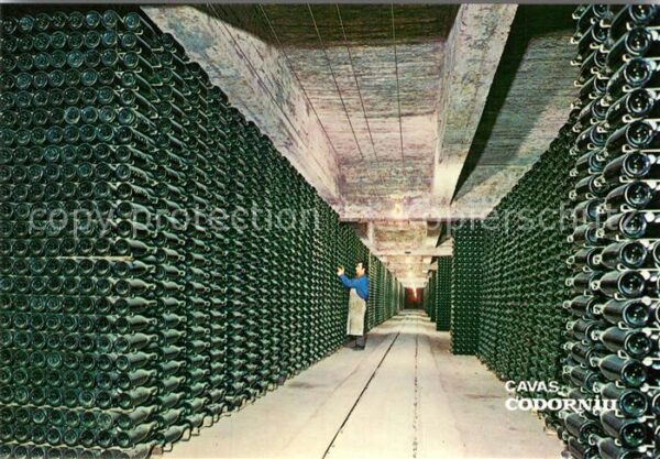 Cavas Codorniu Botellas envejeciendo