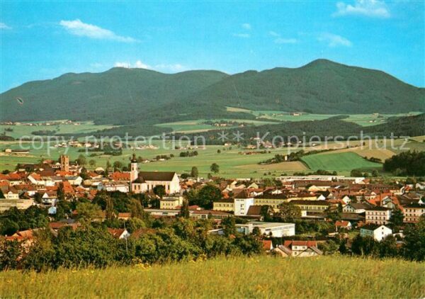 Furth Wald Gesamtansicht mit Blick zum Hohenbogen