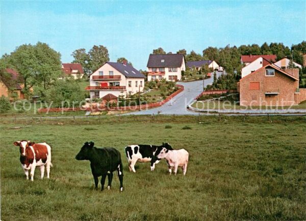 Hoesseringen Blick zum Bötzelberg Viehweide Kühe