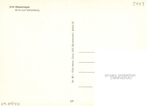 Hoesseringen Blick zum Bötzelberg Viehweide Kühe – Bild 2
