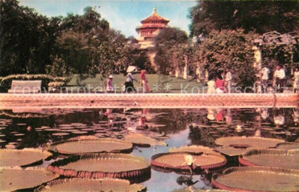 Saigon Lien tri Thao Cam Vien