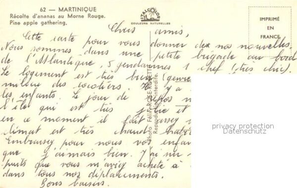 Martinique Recolte d’ananas au Morne Rouge – Bild 2