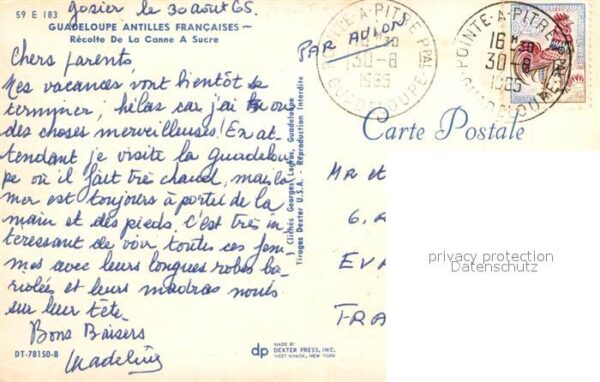 Guadeloupe Recolte de la Canne a Sucre – Bild 2