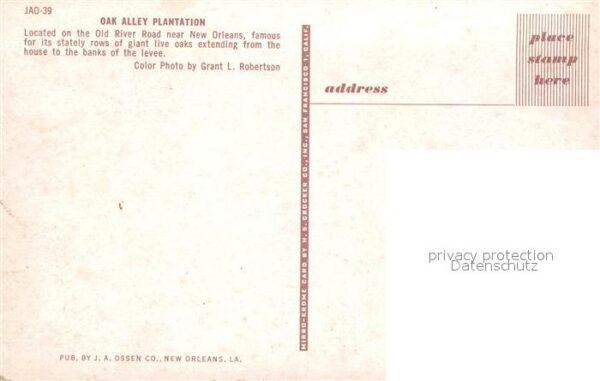 New Orleans Louisiana Oak Alley Plantation – Bild 2