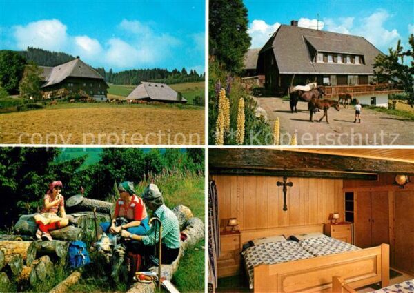 Hinterzarten Island Pferdehof Picknick Gästezimmer