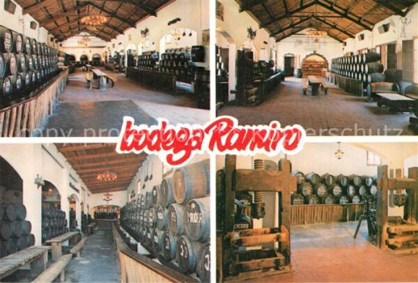 Girona Bodega Ramiro Weinkeller