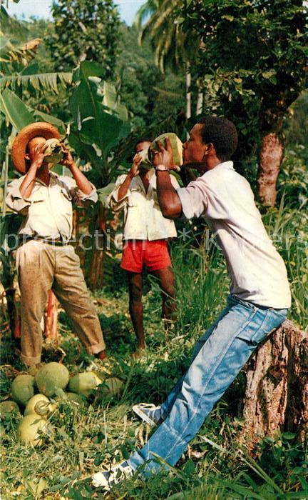 Martinique En buvant des noix de coco