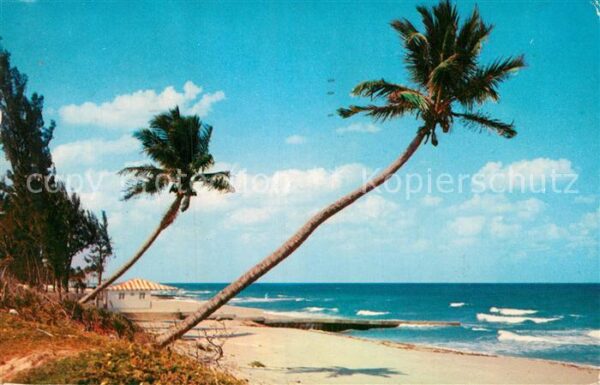 Miami Florida Whispering Palms on Florida Coast