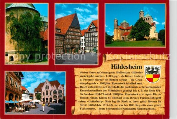 Hildesheim Dom 1000jähriger Rosenstock Knochenhaue