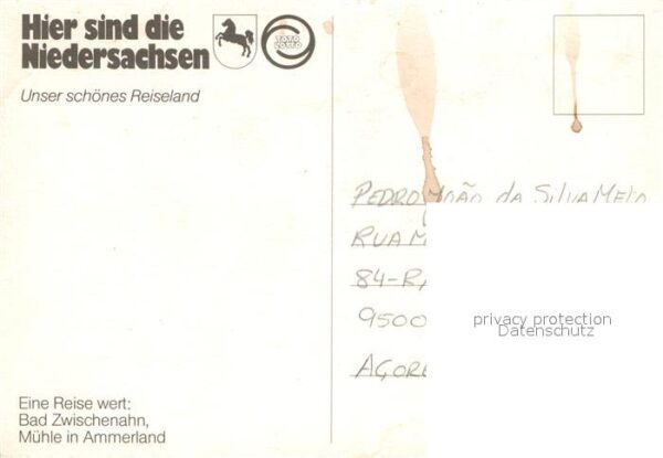 Bad Zwischenahn Mühle im Ammerland – Bild 2