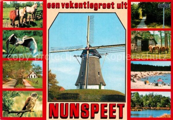 Nunspeet Teilansichten Mühle Pferde Strandpartie