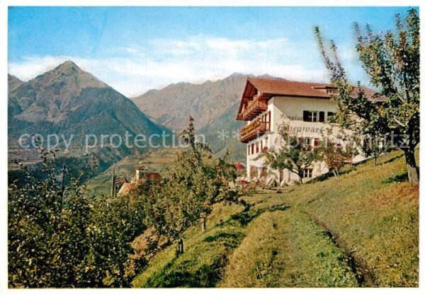 Schenna Meran Cafe Pension Hohenwart