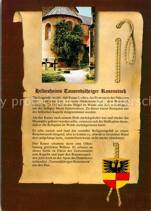 Hildesheim 1000jähriger Rosenstrauch an der Apsis