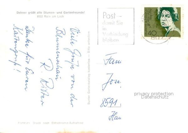 Rain Lech Blumen Dehner – Bild 2