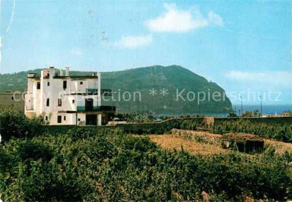 Forio d Ischia Hotel Gattopardo