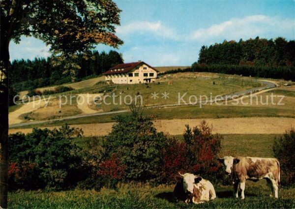 Waldmichelbach Sonnen Cafe Kreidacher Höhe