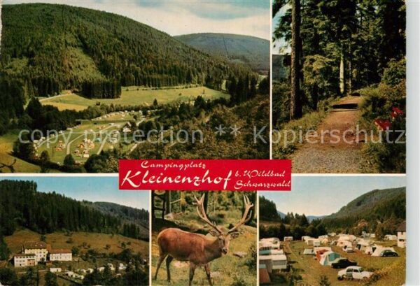 Wildbad Schwarzwald Panorama Campingplatz Kleinenzhof Waldw