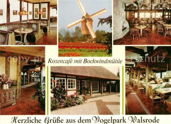 Walsrode Lueneburger Heide Vogelpark Walsrode Rosencafe mit Bockwi