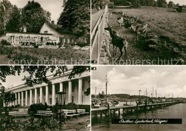 Lauterbach Putbus Rosencafe Haus Goor Erholungsheim Wildg