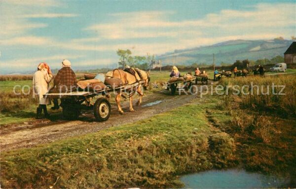 Landwirtschaft Cockle Gatherers Gower Coast Herzmusche