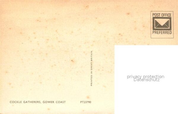 Landwirtschaft Cockle Gatherers Gower Coast Herzmusche – Bild 2