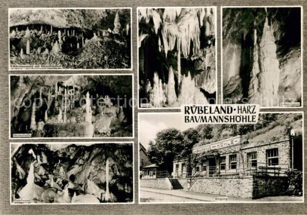 Hoehlen Caves Grottes Baumannshöhle Rübeland Märchenwald Bäre