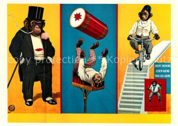 Zirkus Schimpanse Moritz Fussjongleur Kunstrad