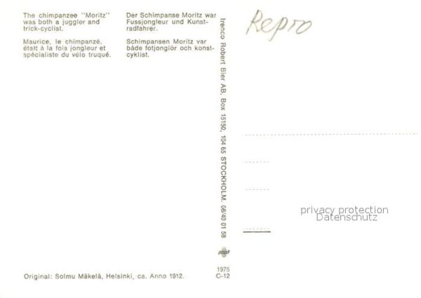 Zirkus Schimpanse Moritz Fussjongleur Kunstrad – Bild 2
