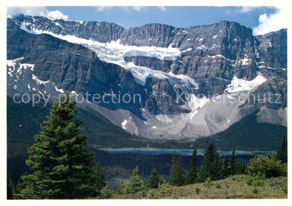 Gletscher Crowfoot Glacier Banff National Park