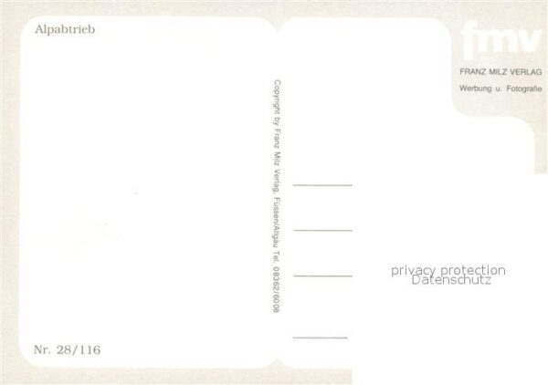 Kuehe Alpabtrieb – Bild 2