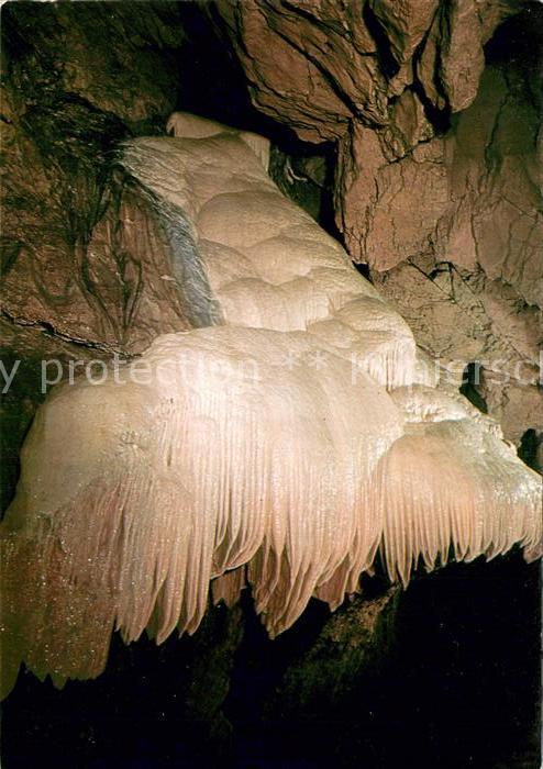 Hoehlen Caves Grottes Lurgrotte Peggau Semriach Riesenpalme