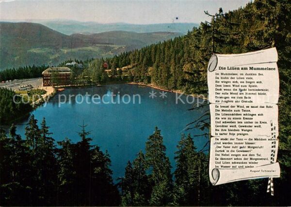 Gedicht auf AK Die Lilien am Mummelsee August Schnezle