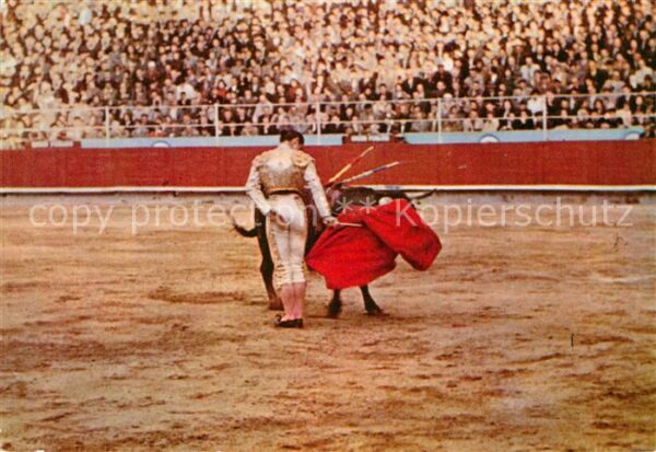 Stierkampf Corrida Natural con la Derecha Bernado