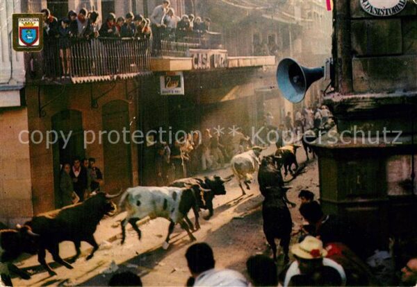 Stiere Pamplona Fiestas de San Fermin Encierro