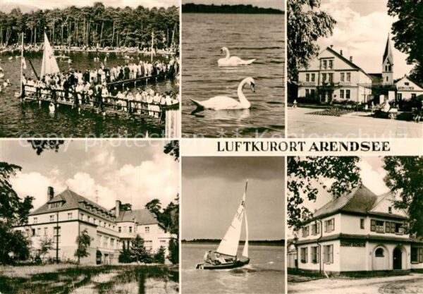 Arendsee Uckermark Seebrücke Schwäne