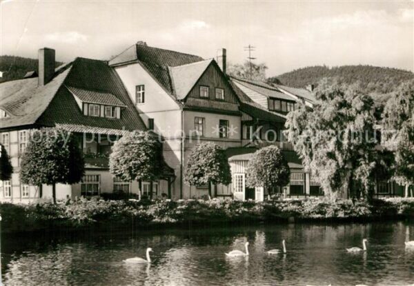 Ilsenburg Harz Am Forellenteich