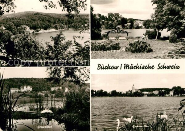 Buckow Maerkische Schweiz Seeepartien Schwäne