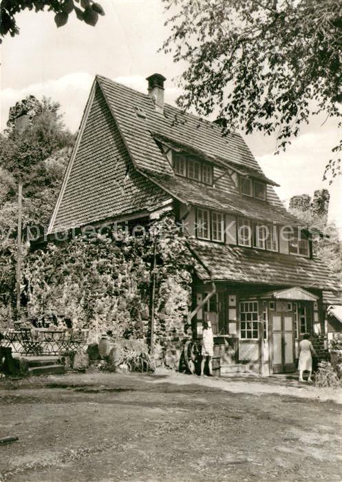 Neustadt Harz Burgruine Hohenstein