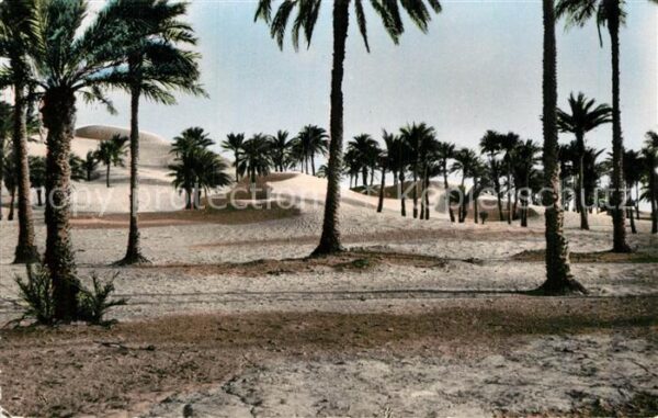 El Golea Palmeraie envahie par les Dunes