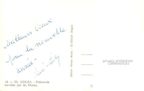 El Golea Palmeraie envahie par les Dunes – Bild 2