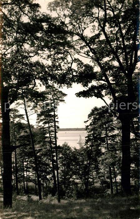 Heidesee Blick aus Dubrow Naturschutzgebiet auf